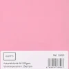 Karto Askartelutarvikkeet-Askartelukortti A6 220 Gsm Vaalean Punainen 25 Kpl/Pss