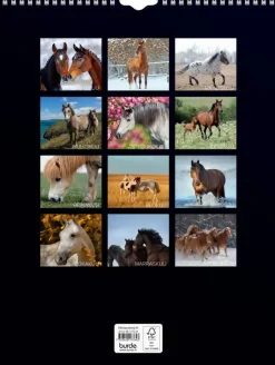 Best Seinakalenteri 2024 Hevoset Kalenterit