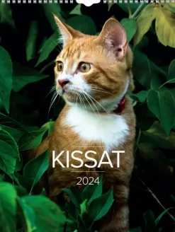 Discount Seinakalenteri 2024 Kissat Kalenterit