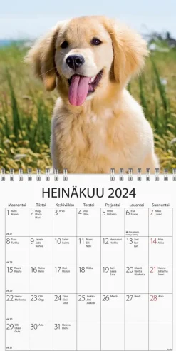 New Seinakalenteri 2024 Koiranpennut Kalenterit