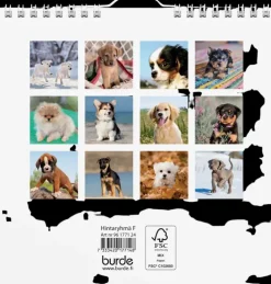 New Seinakalenteri 2024 Koiranpennut Kalenterit