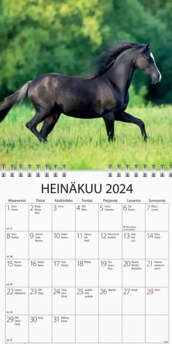 Discount Seinakalenteri 2024 Ponit Kalenterit