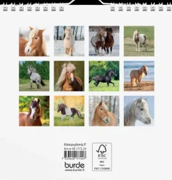 Discount Seinakalenteri 2024 Ponit Kalenterit