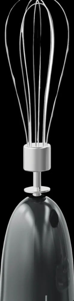 Electrolux Ruoanvalmistuskoneet-Sauvasekoitin E4Hb1-4Gg