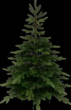 Best Joulukuusi Rostan 150 Cm Vihrea Sesonkijuhlatarvikkeet