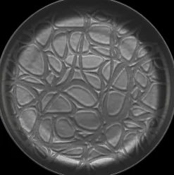 Online Lautanen Capri 19 Cm Astiat