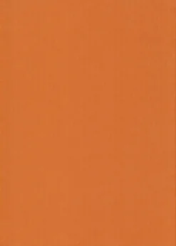 Best nki A4 220Gsm Oranssi 5Ark/Pss Askartelutarvikkeet