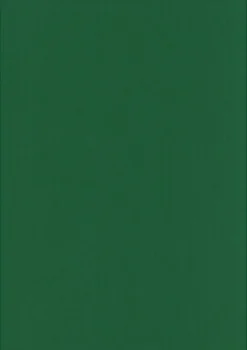 Karto Askartelutarvikkeet-nki A4 220Gsm Ruohon Vihrea 5Ark/Pss