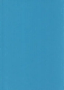 Karto Askartelutarvikkeet-nki A4 220Gsm Vaaleansininen 5Ark/Pss