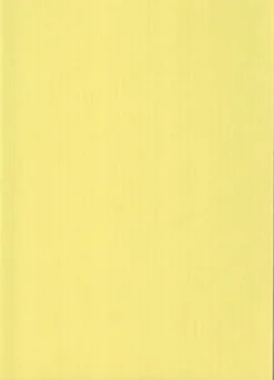 nki Vaaleankeltainen A4 220Gsm 5Ark/Pss Askartelutarvikkeet