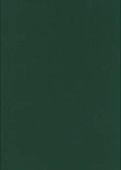 New Kortti Joulunvihrea 10X15Cm 220Gsm 10Kpl/Pss Askartelutarvikkeet