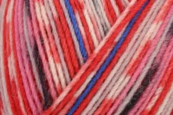 New Regia Design Line Arne & Carlos Lofoten Color Sukkalanka 4 Saikeinen 100G Käsityötarvikkeet