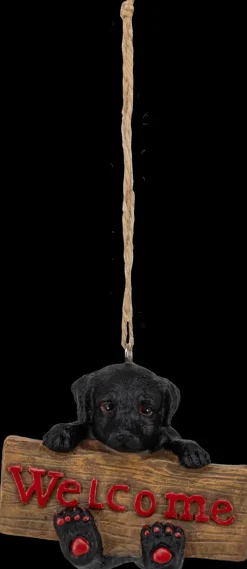 Outlet Roikkuva Koristekoira, Erilaisia Sesonkijuhlatarvikkeet