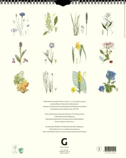 Clearance Seinakalenteri Kasvit Lindman 2024 Kalenterit