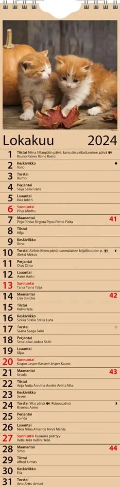 Seinakalenteri Kotimuistio/Hemkalendern Kalenterit